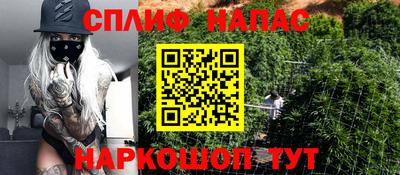 хмурый Краснознаменск