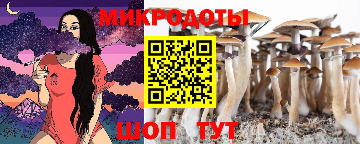 купить наркоту  Галлюциногенные грибы Psilocybe  Вход с VPN  Галлюциногенные грибы ЛСД  Ипатово 